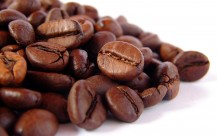 Distinguish types of coffee beans popular in Vietnam