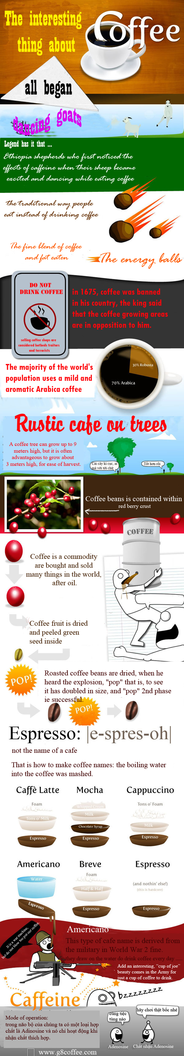 cà phê rang xay nguyên chất